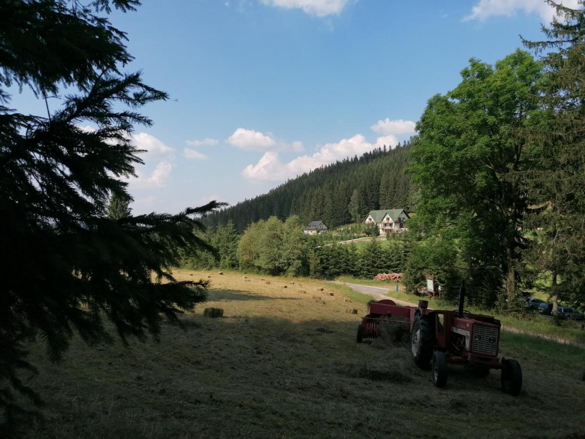 Gosciniec Janowa Gora - Agroturystyka Строне-Слёнске Экстерьер фото