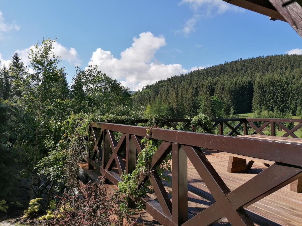 Gosciniec Janowa Gora - Agroturystyka Строне-Слёнске Экстерьер фото